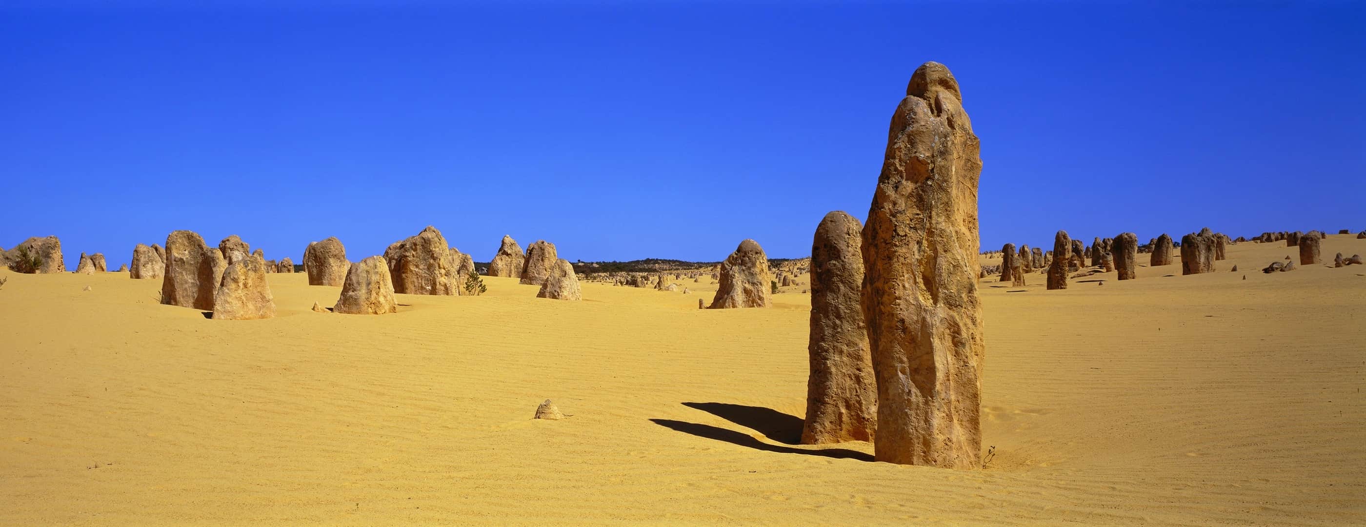 The Pinnacles rock formations in Nambung National Park, Western Australia
